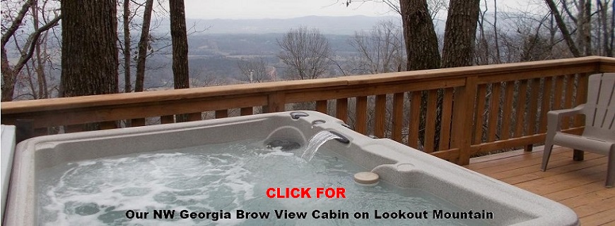 North Georgia Brow View Cabin for rent