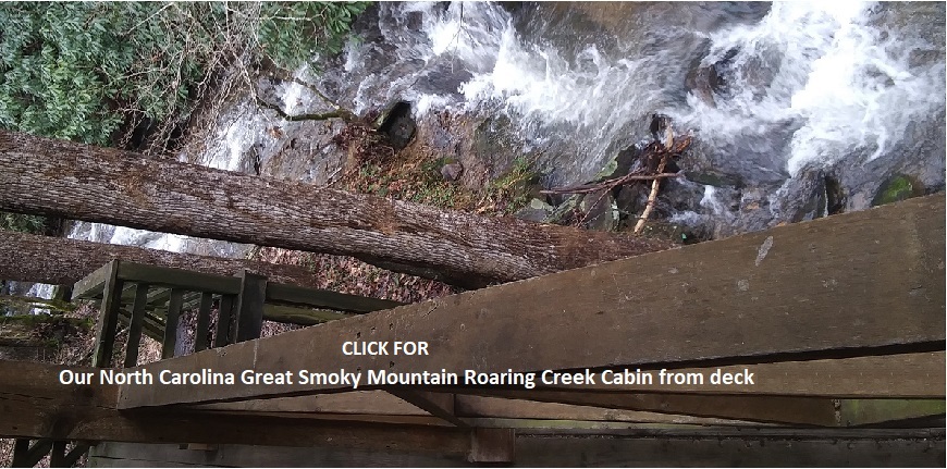 North Carolina Roaring Creek Cabin for rent in Bryson City Smoky Mountains